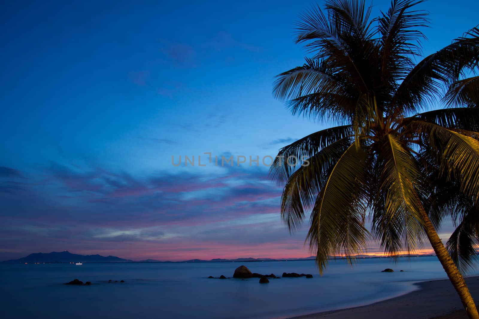 Coconut palm tree at sunrise against blue sky, picture taken using long exposure.