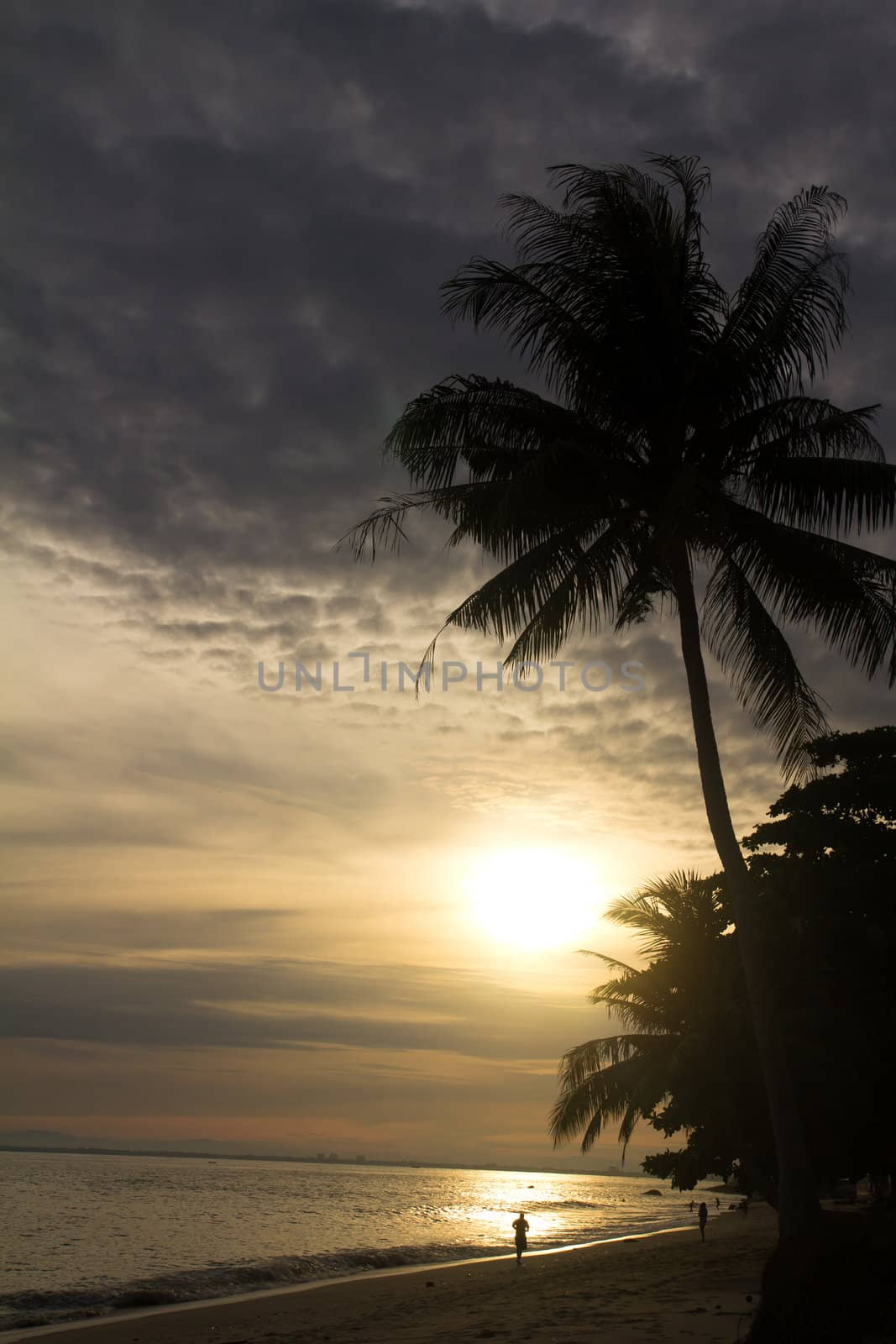 Coconut palm tree at sunrise by Kenishirotie