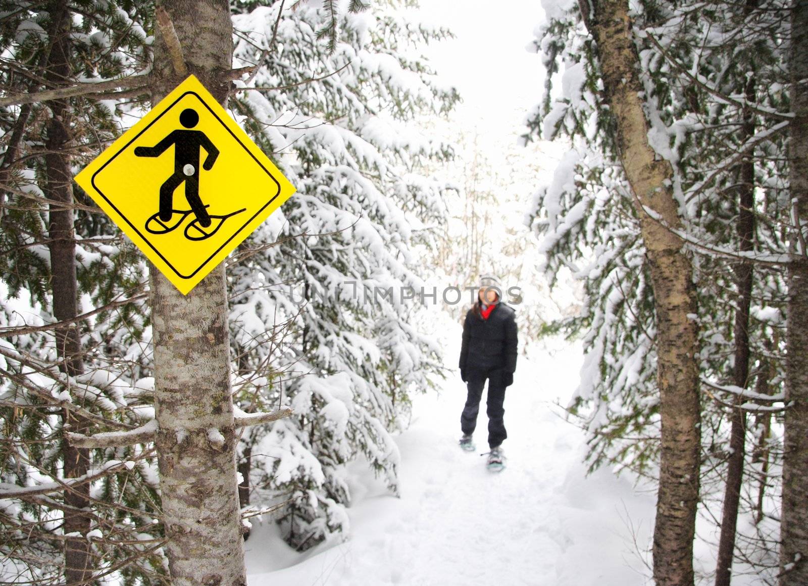 Snowshoes. Young woman snowshoeing in pine forest near Baie Saint-Paul, Quebec, Canada.