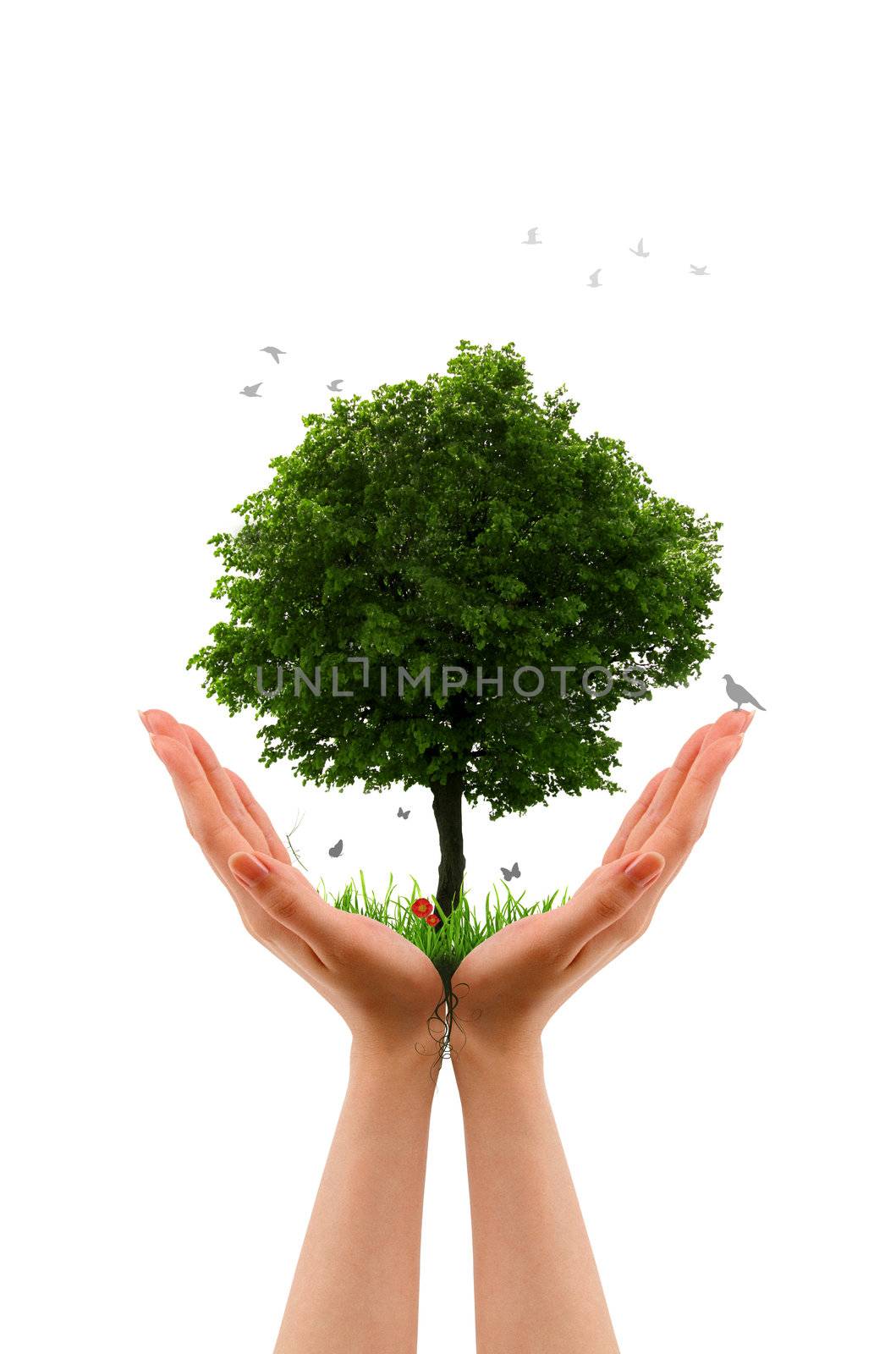 High resolution graphic of hands holding a tree. 