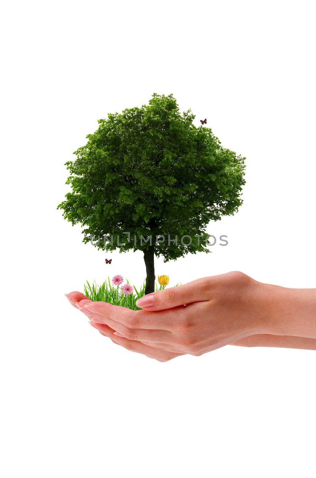 High resolution graphic of a hand holding a tree. 