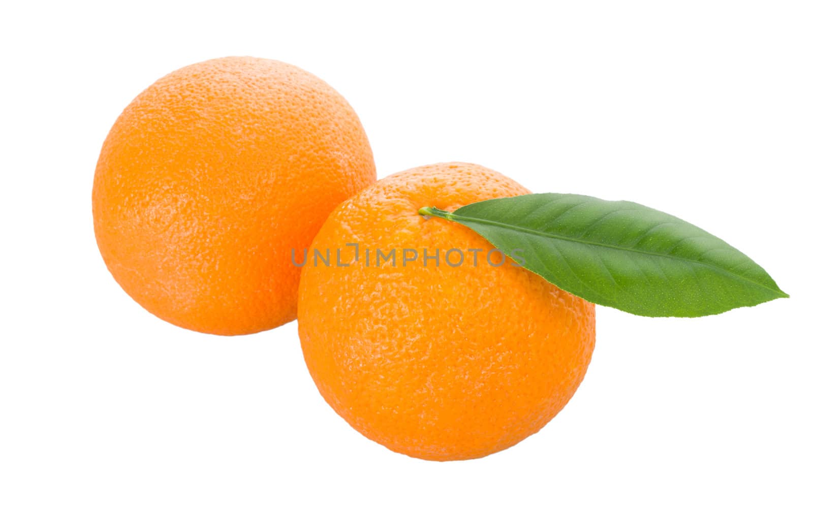 two oranges with leaves, isolated on white