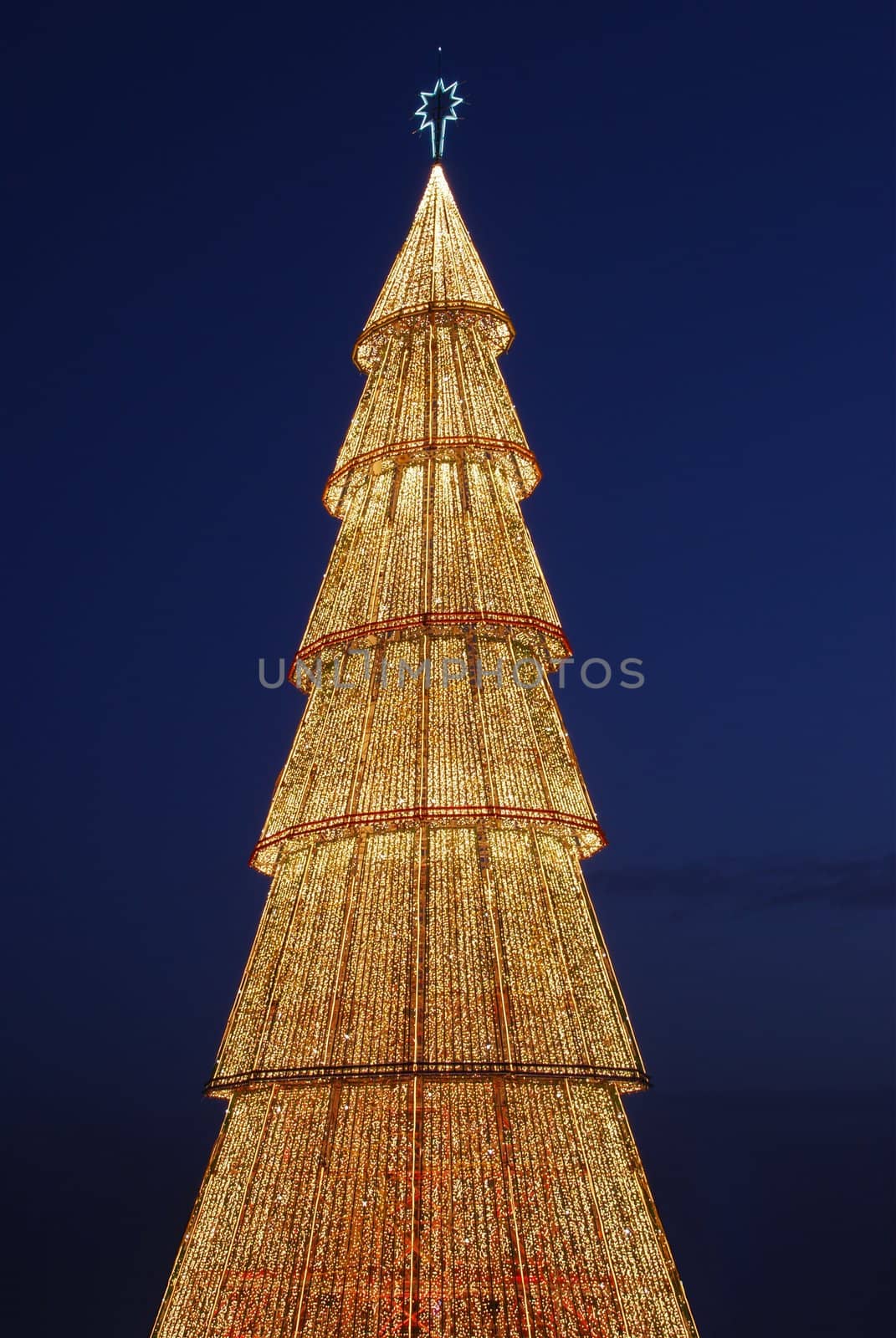 Beautiful tall Christmas tree (at sunset) by luissantos84