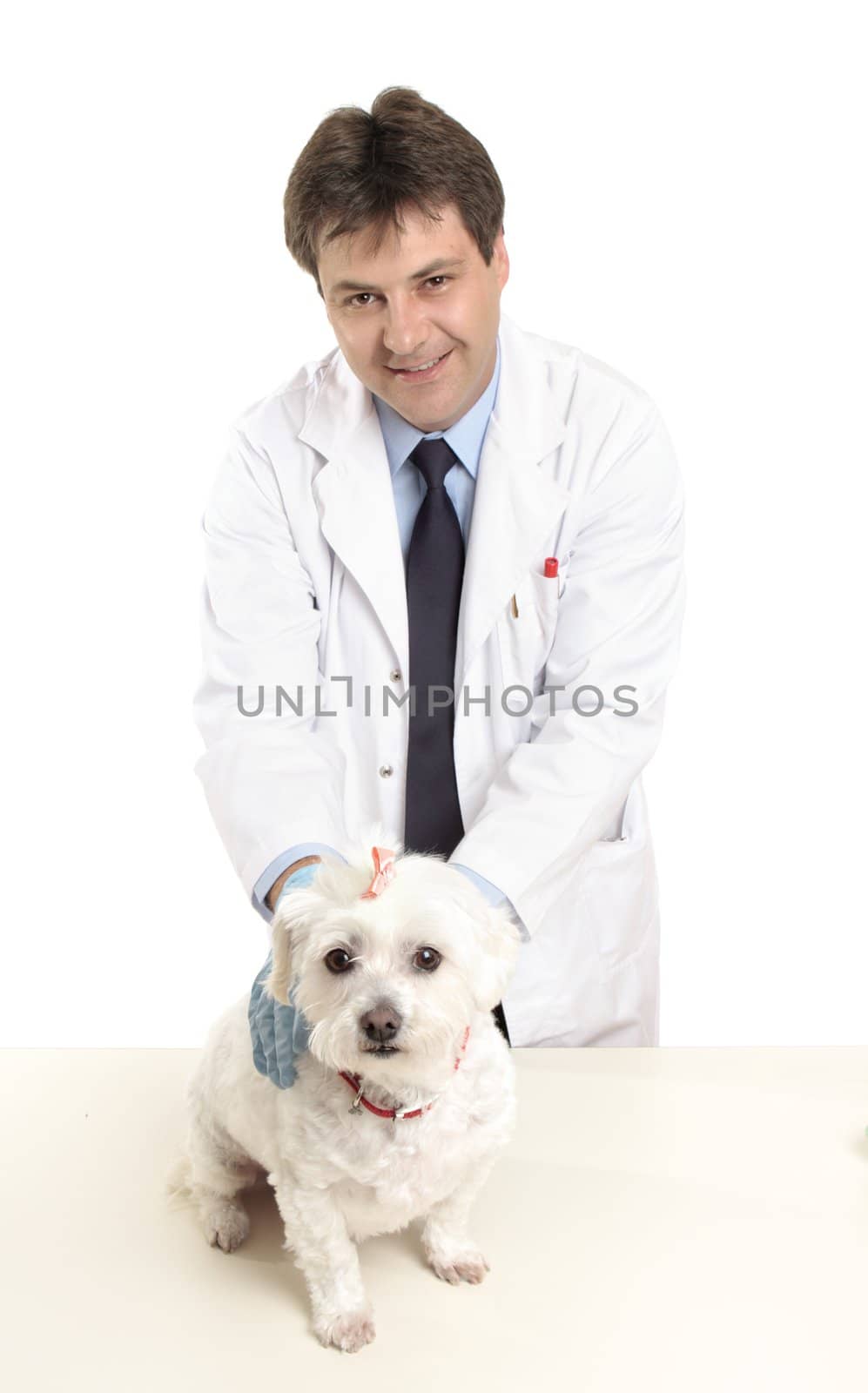 Smiling vet holding a pet dog on a treatment table.