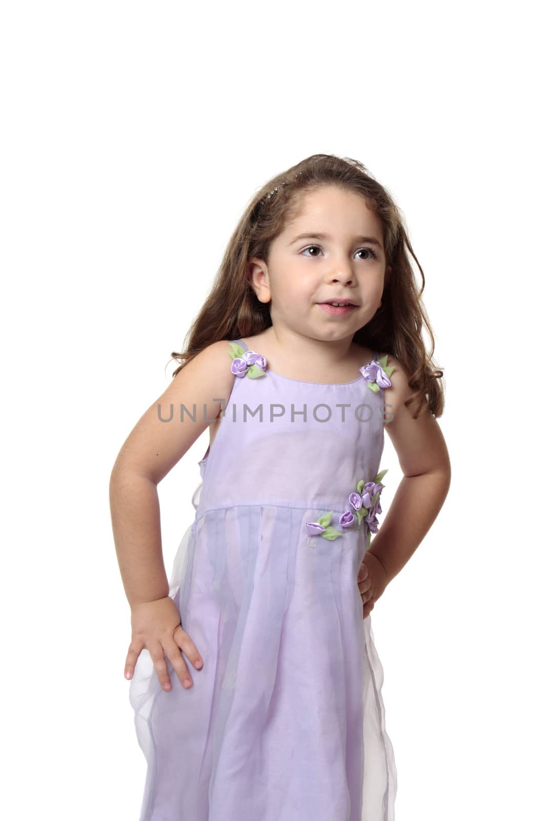 Beautiful young girl dressed in a lilac mauve dress with decorative flower accents.