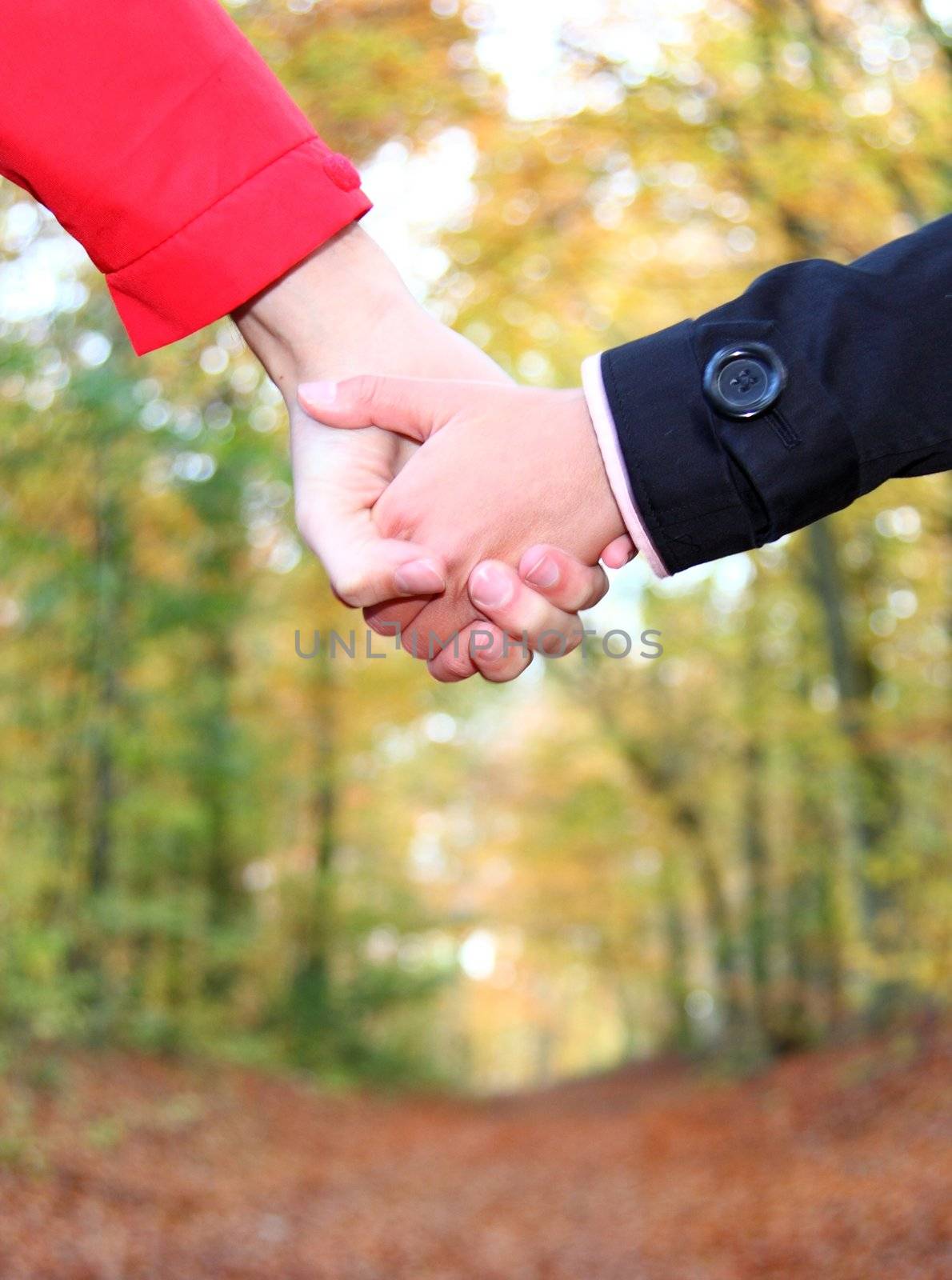 Holding hands. Young couple holding hands and walking in the autumn forest. Closeup.