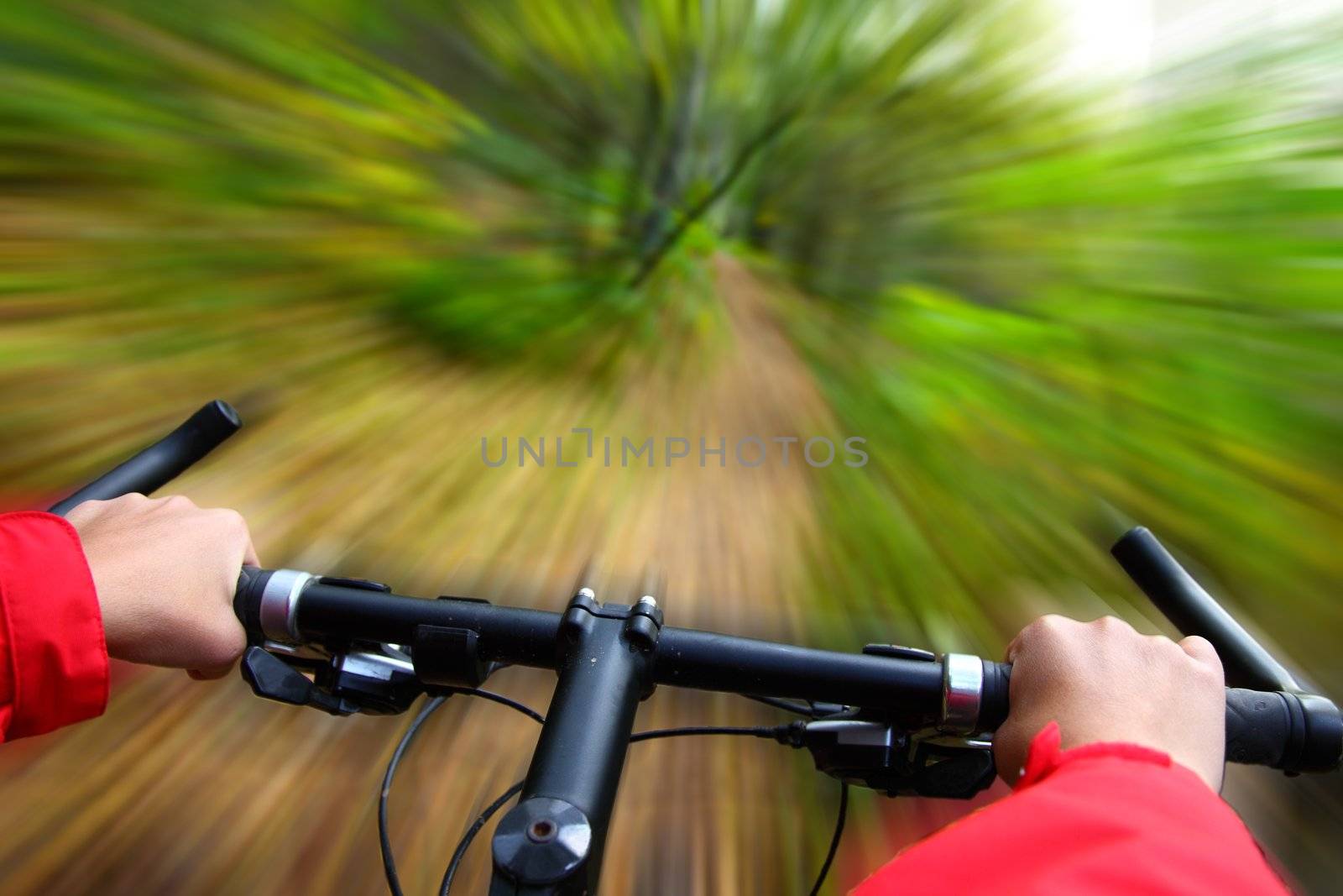 Speed on Mountainbike. Biking in the forest motion blurred for speed effect 