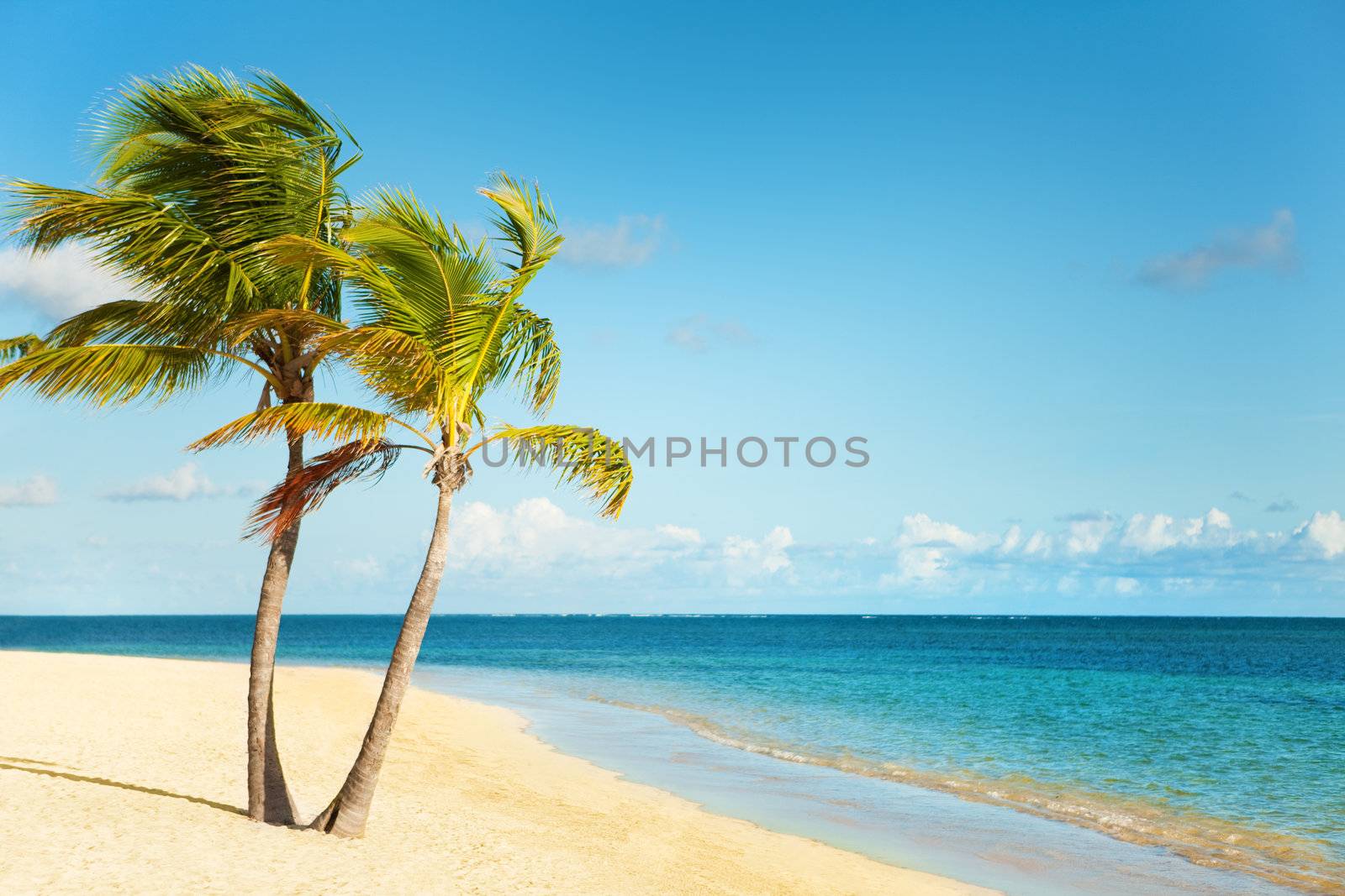 Caribbean coast by mihhailov