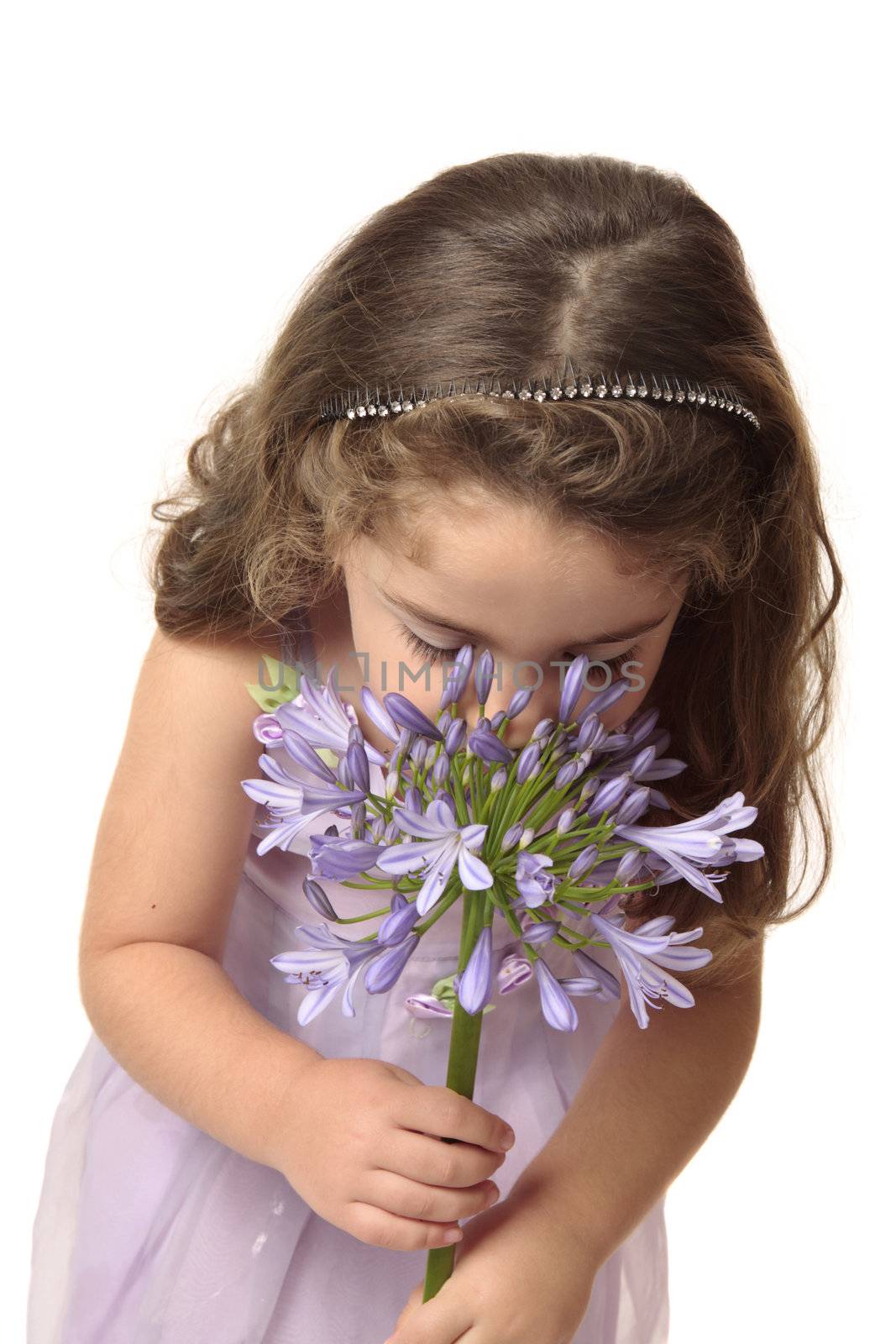 A small girl wearing a mauve dress sniffing a large agapanthus flower head.  Agapanthus comes from the Greek words agape for love and anthos for flower.