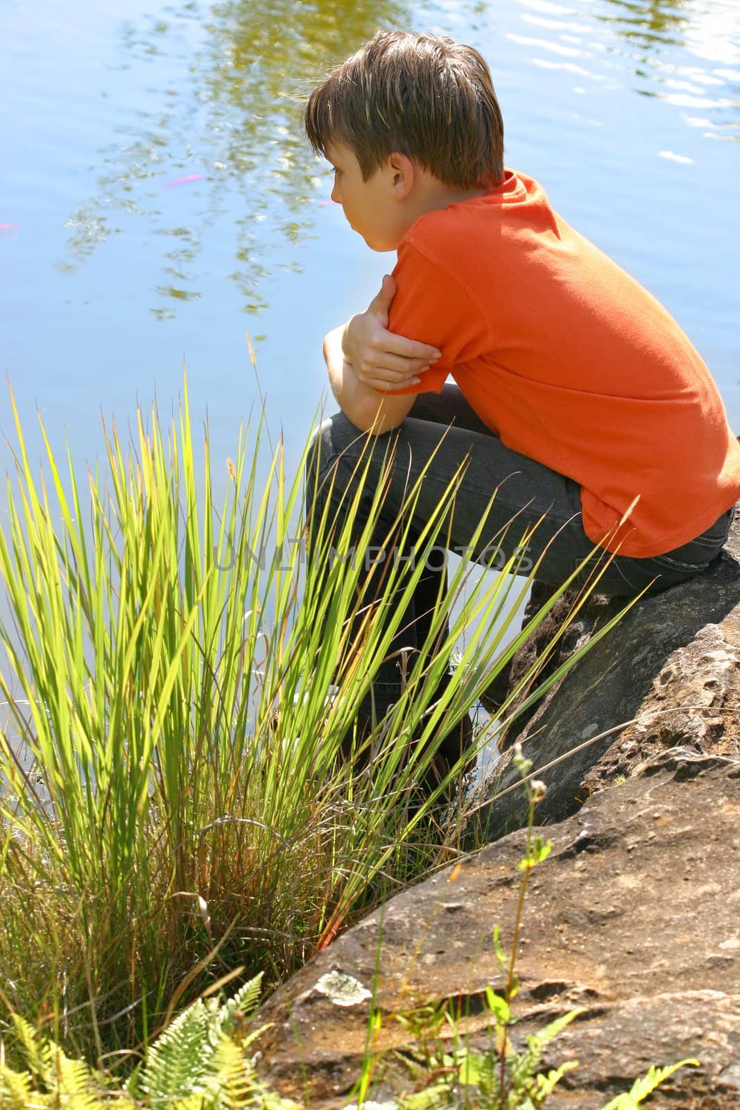 A boy watches fish swimming in the lake