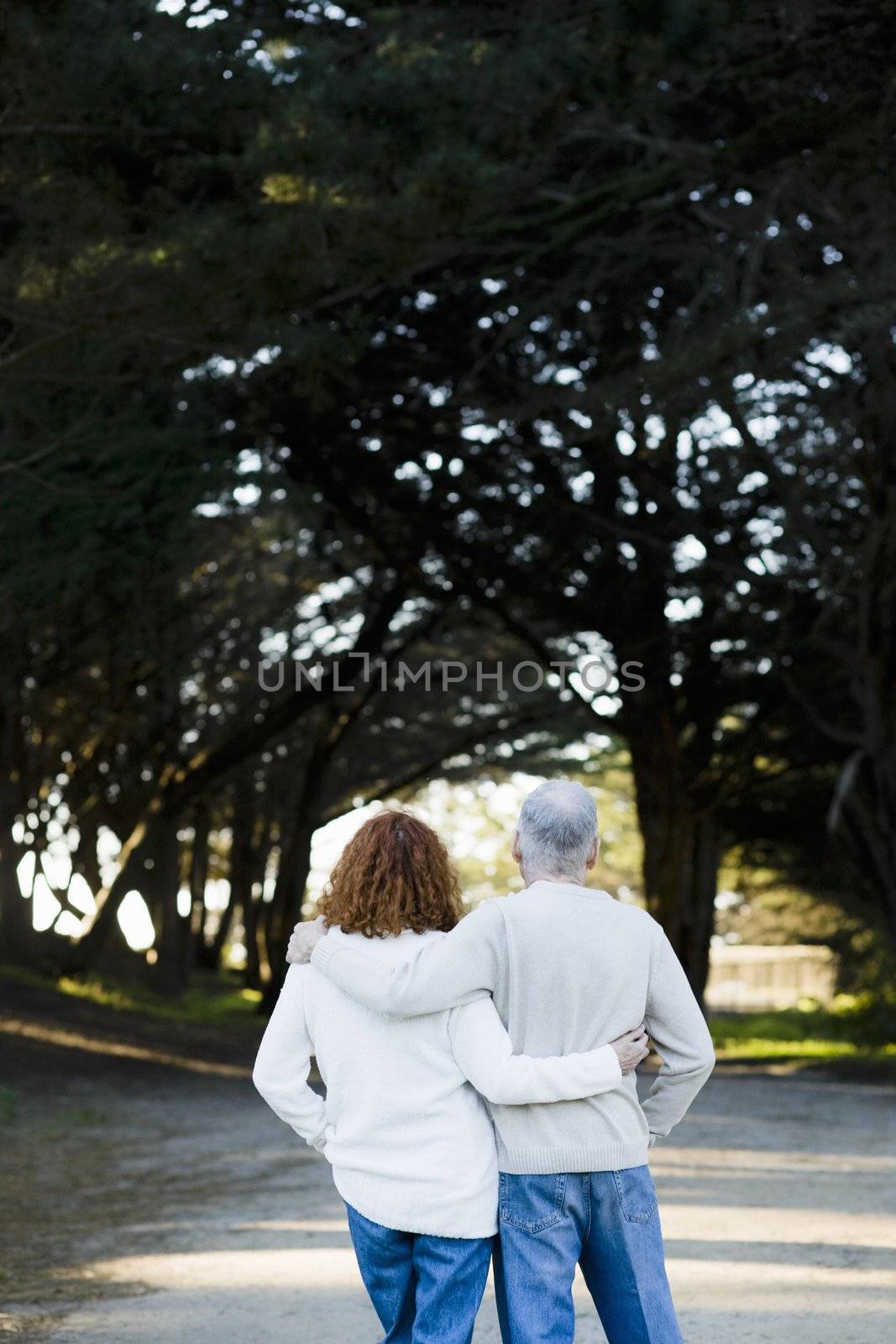 Senior Couple With Backs to Camera Looking Down Path in a Park