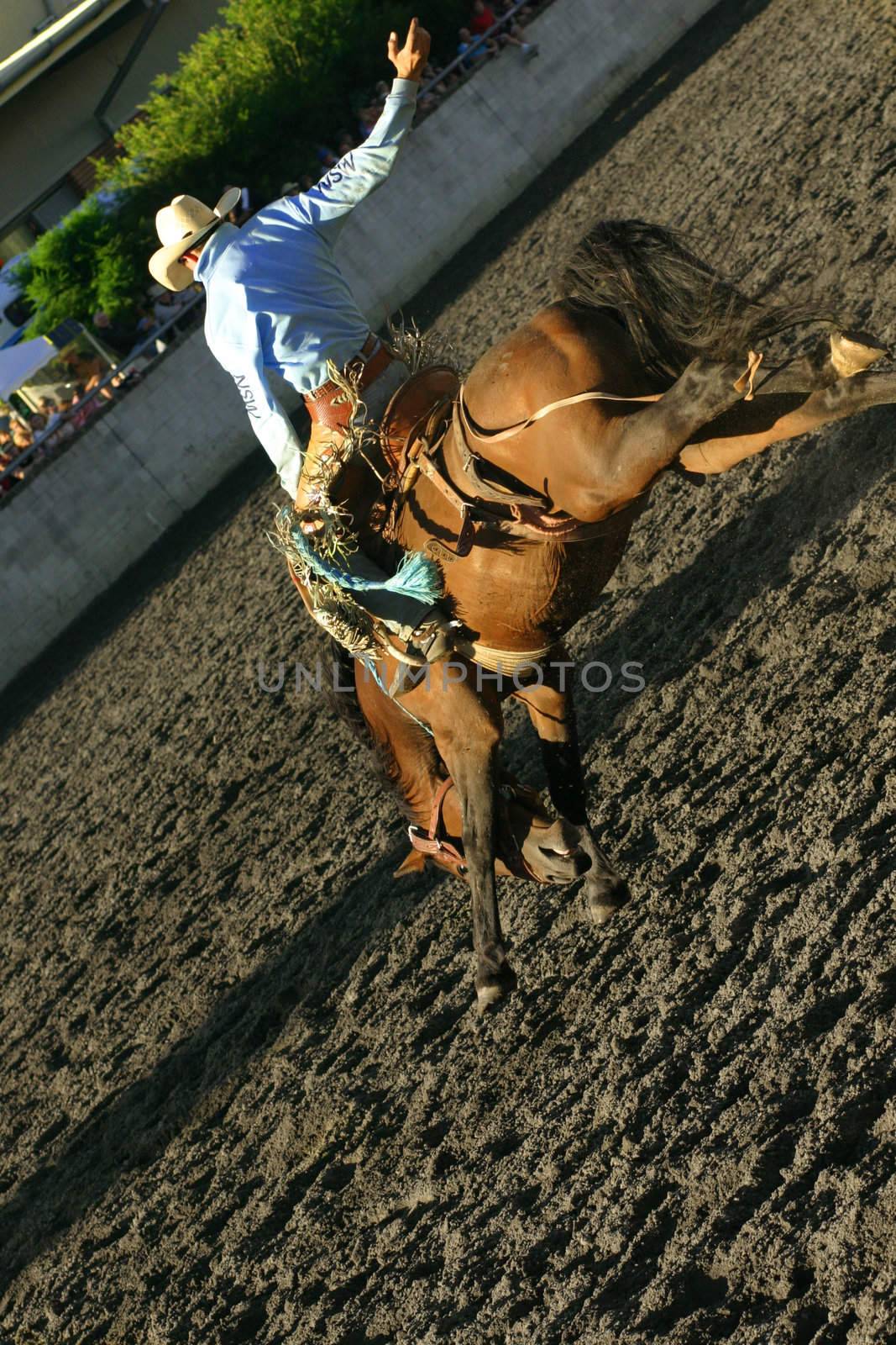 a rider on a wild adrenaline rush, riding a bucking horse at a rodeo