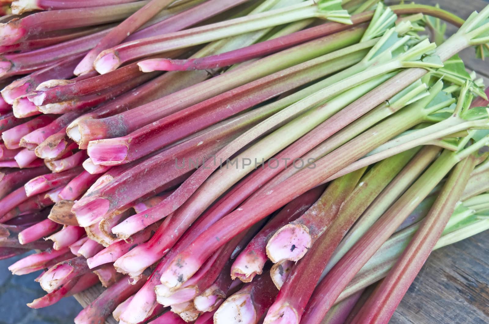 rhubarb at a street sale