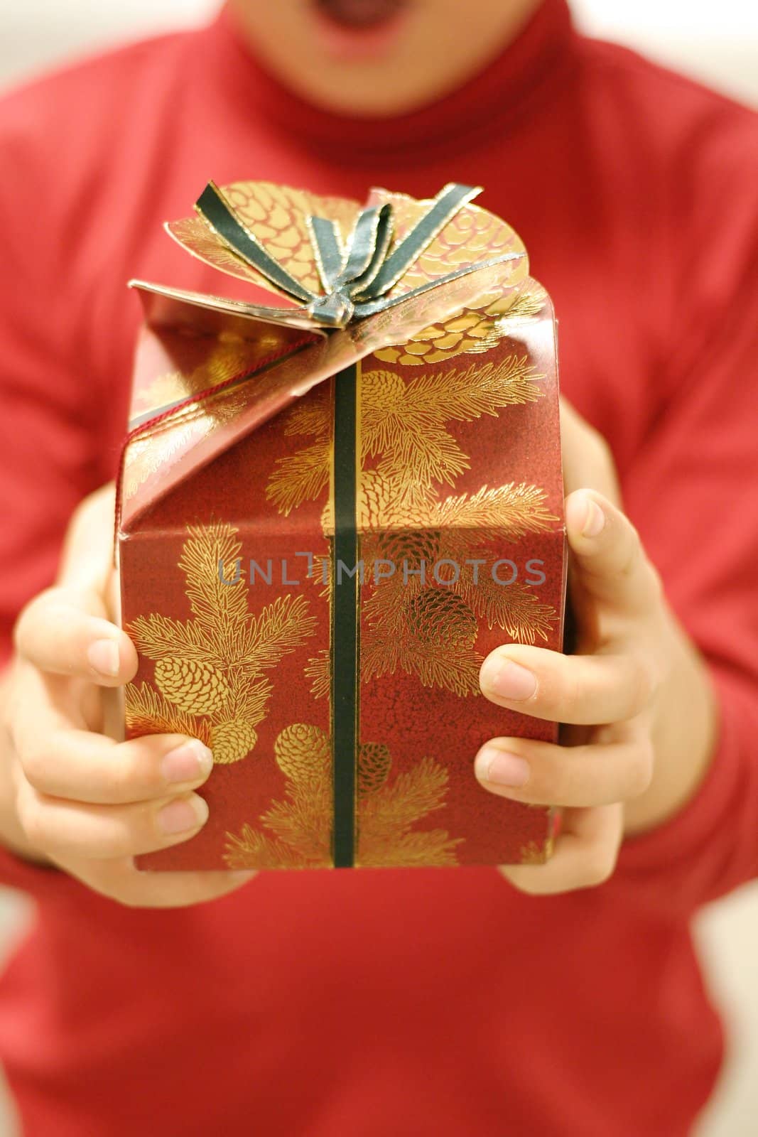 Giving gifts at Christmas.  Focus on the gift
