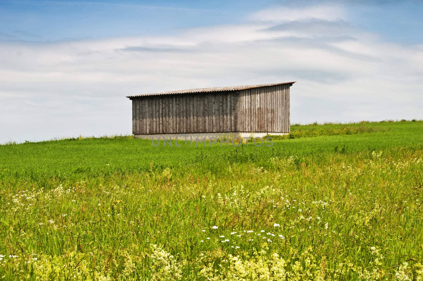 barn in a meadow by Jochen