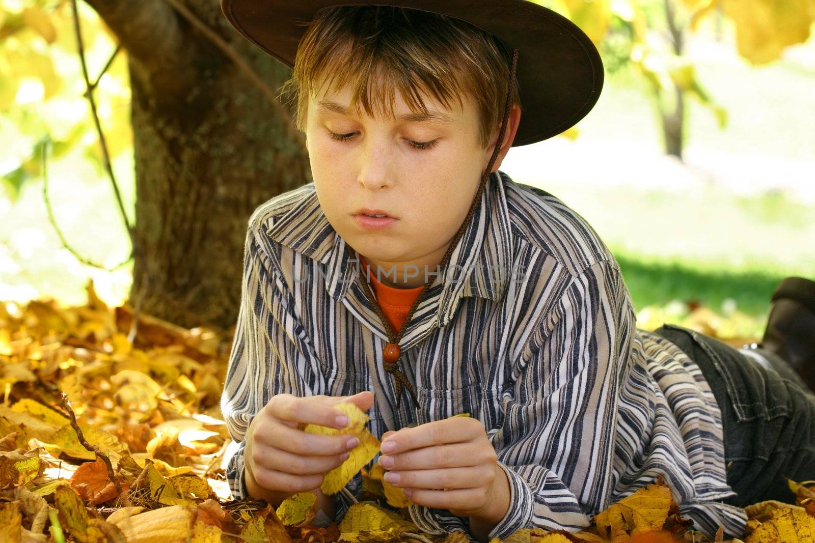 A child lays in golden yellow autumn foliage under a deciduous tree - 400iso