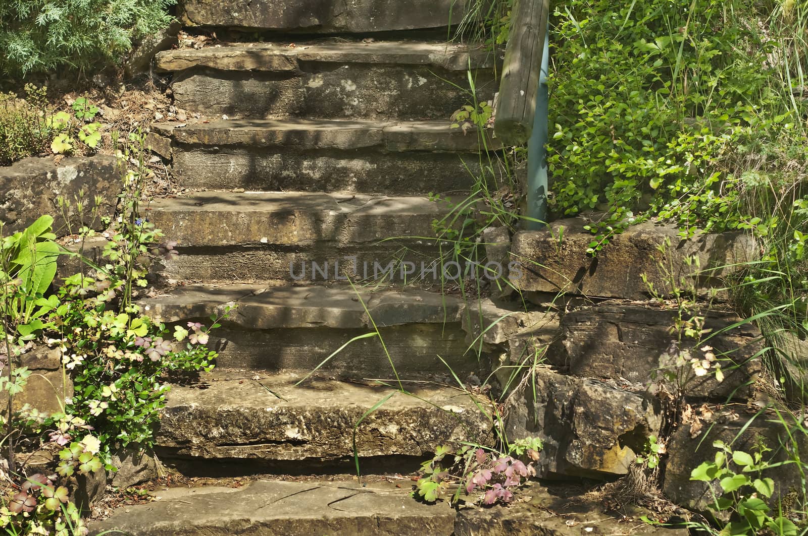 old stairs with flowers