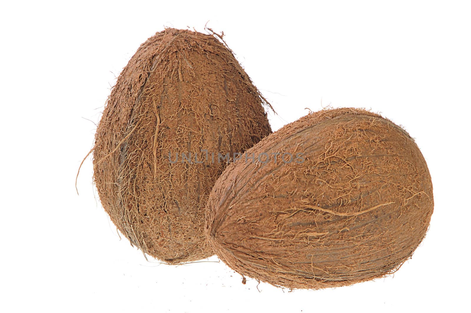 Two Coconuts on white background