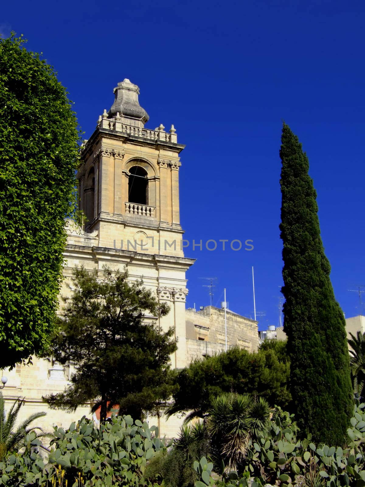 Baroque steeple of church in the Mediterranean island of Malta, and trees in foreground