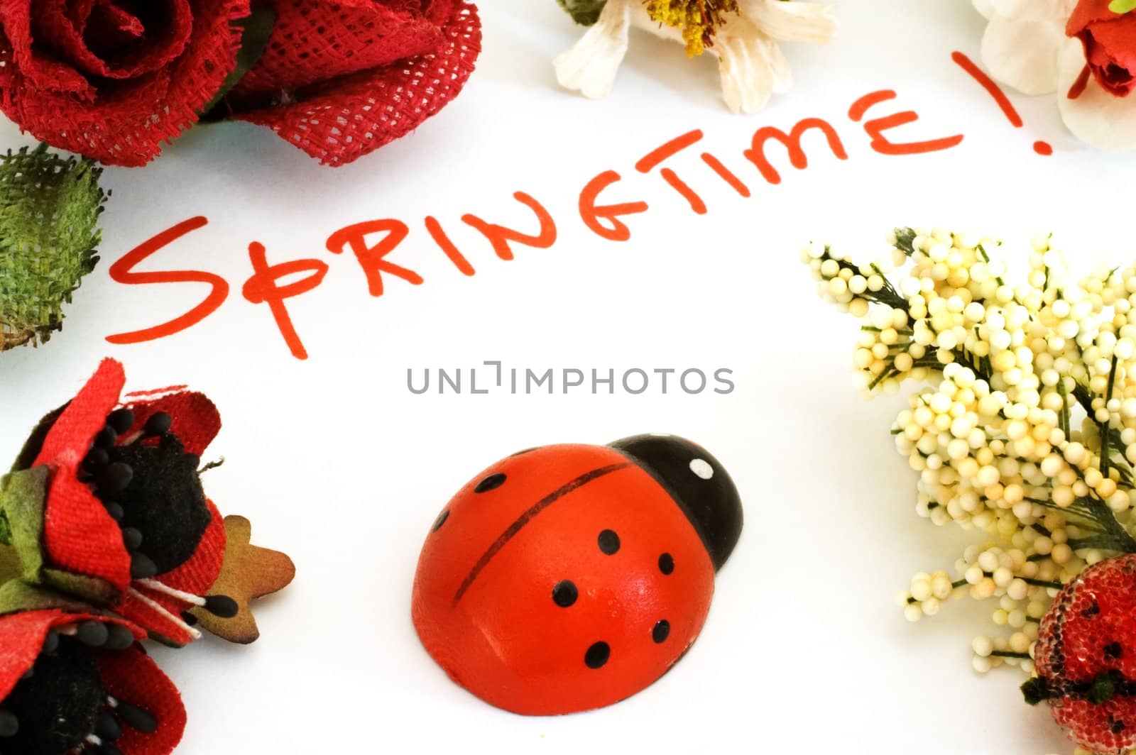 Springtime written on white background with ladybug and  flowers