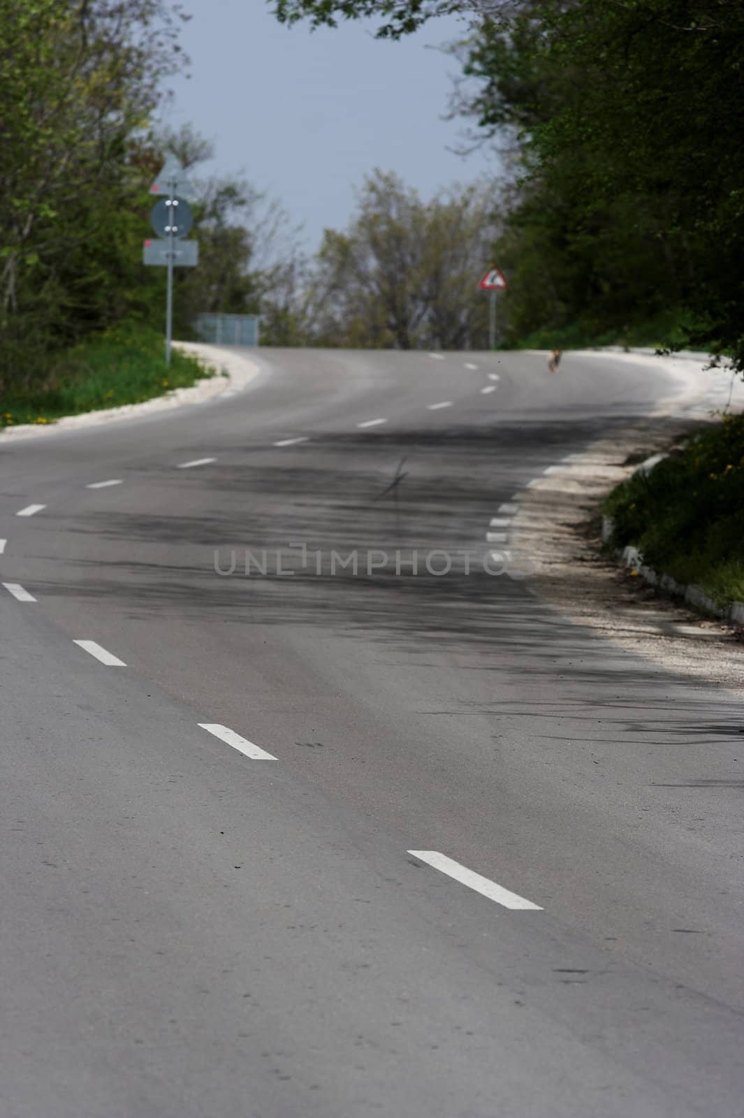 Picture of road in countryside
