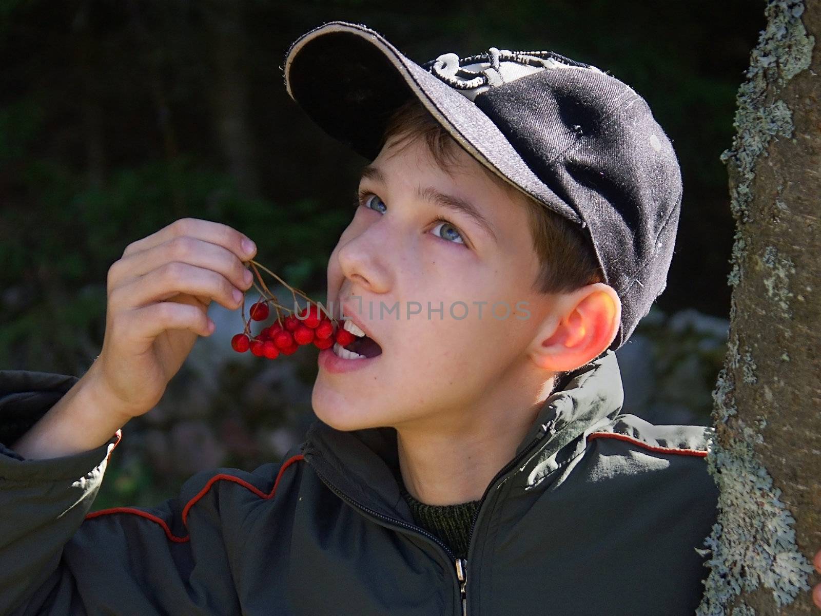 My son Aleksej eats red ashberry. Latvia.