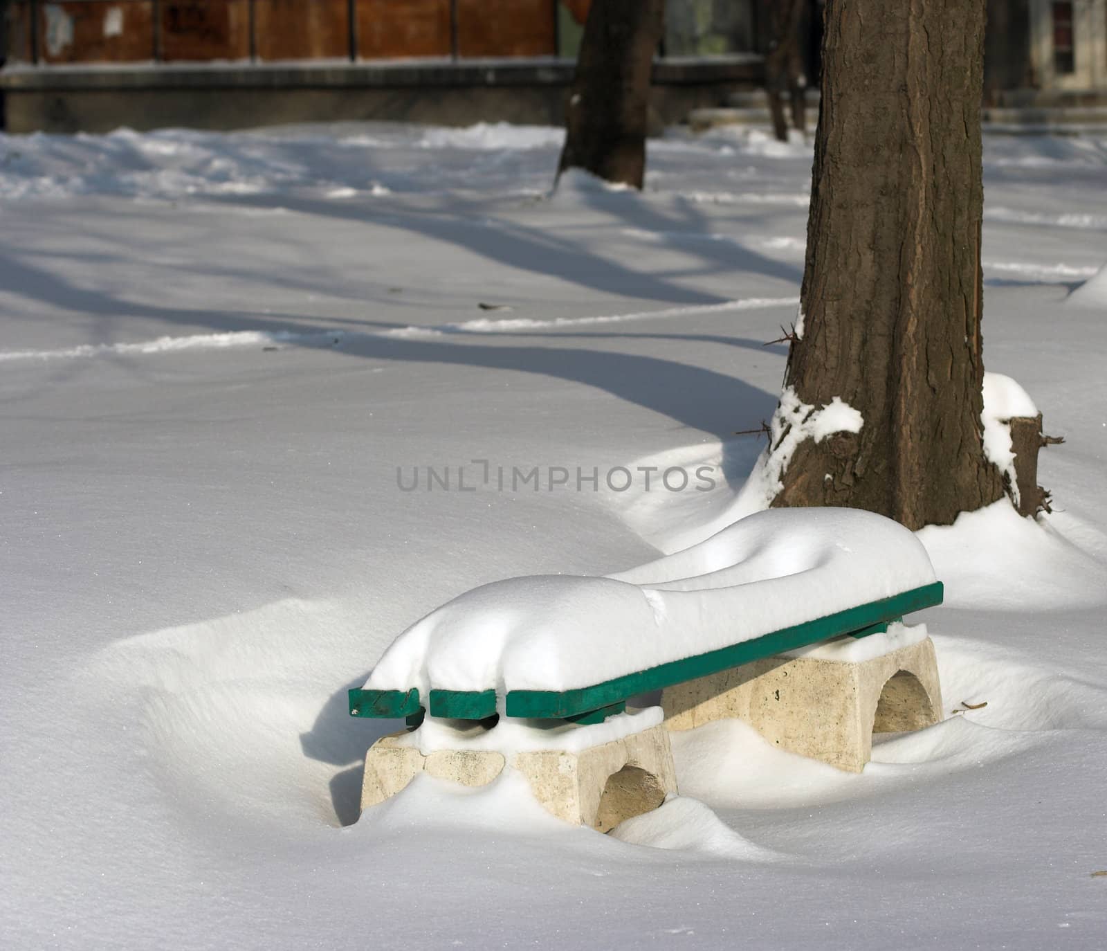 Snow covered a bench in winter