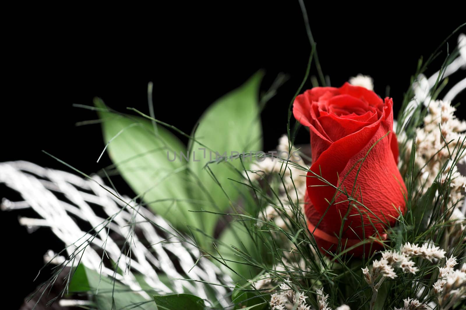 A bouquet of red rose isolated on black