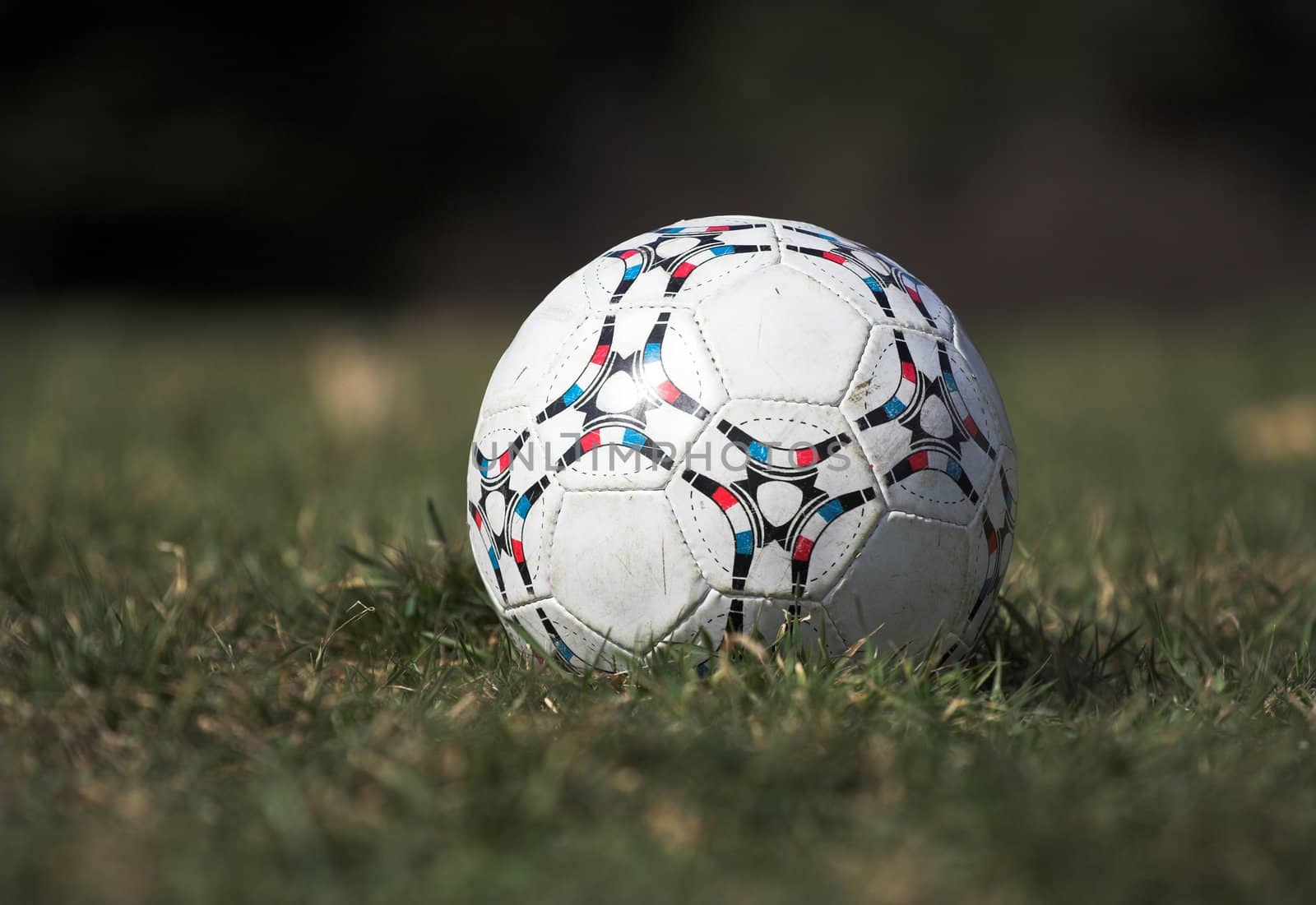 Soccer ball on the grass