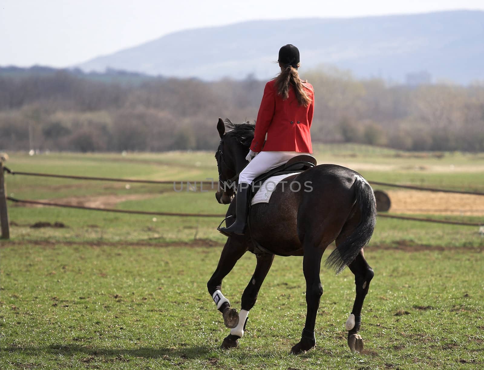 Picture of a horse rider