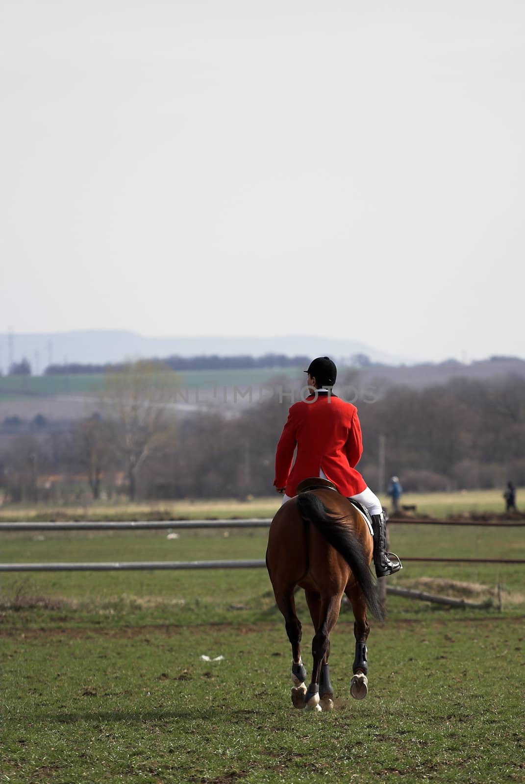 Picture of a horse rider