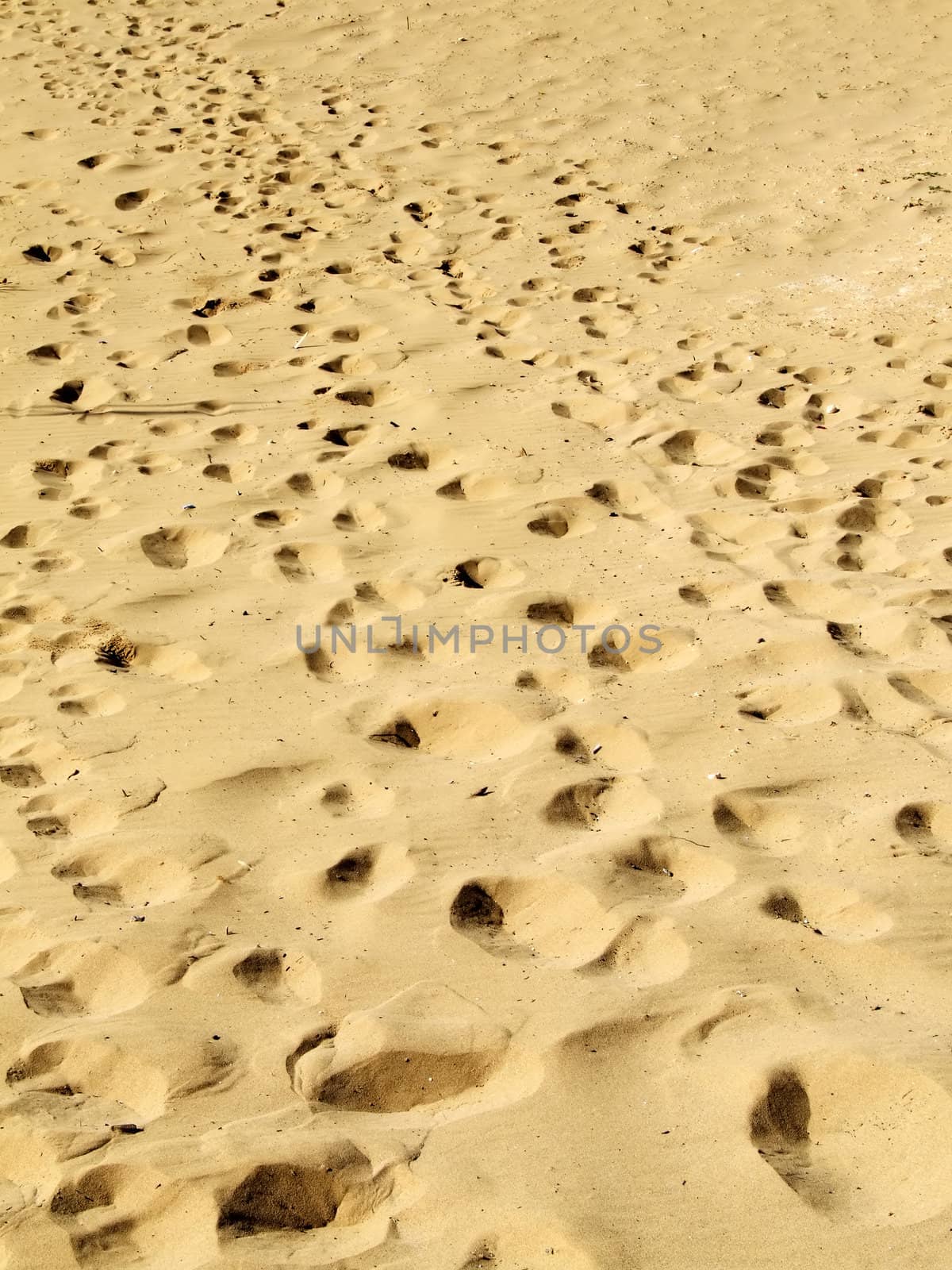 Desert Sands by PhotoWorks