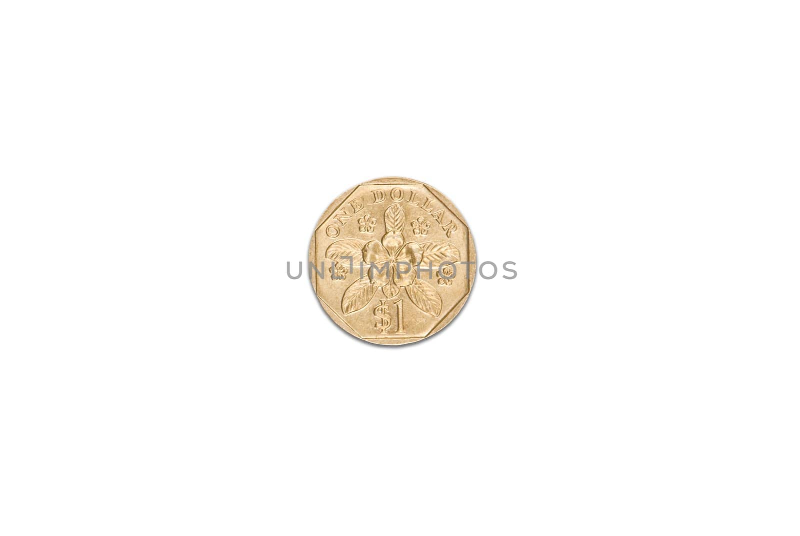 Singapore dollar coin isolated over white background
