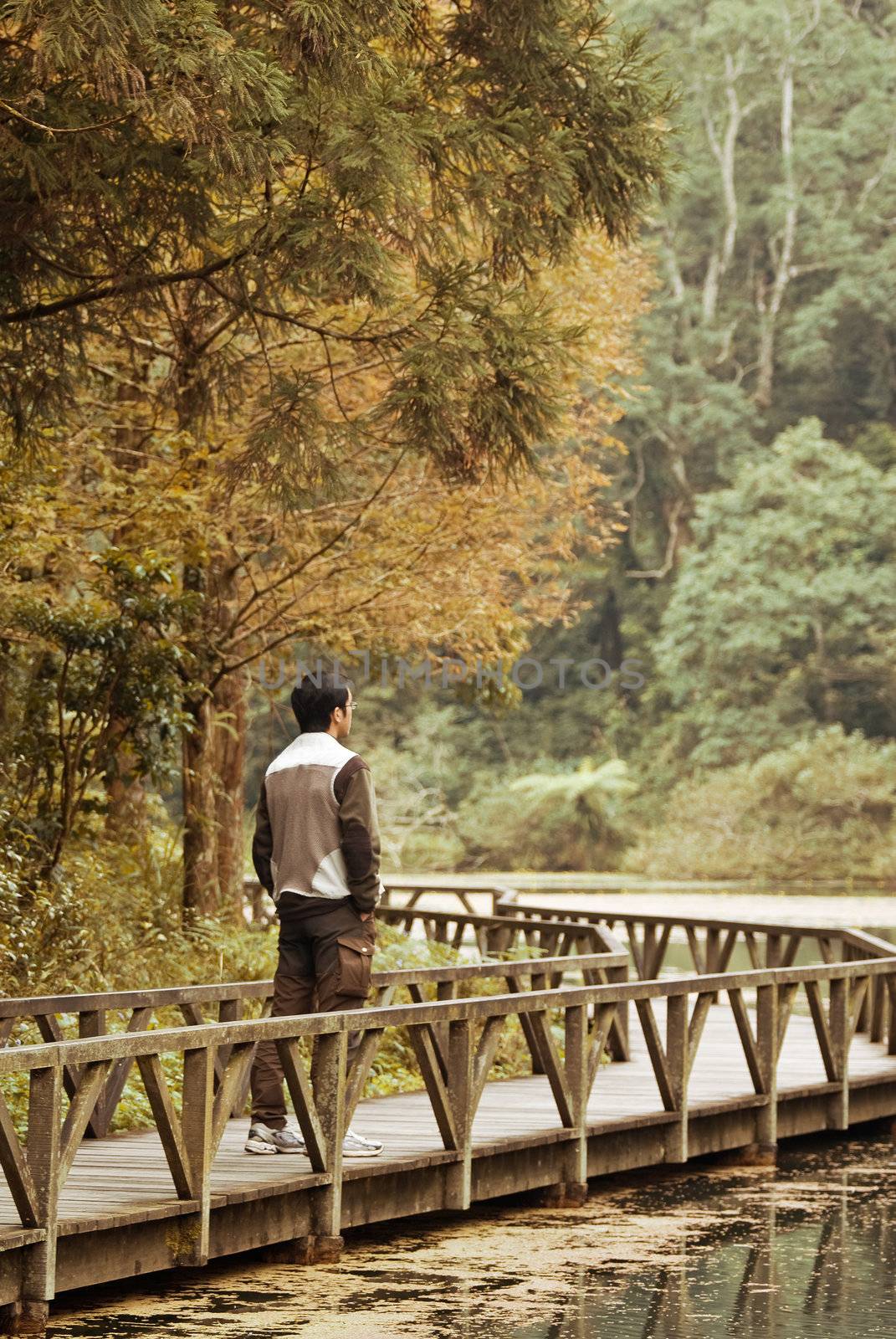 Man stand on bridge near the lake in beautiful forest.