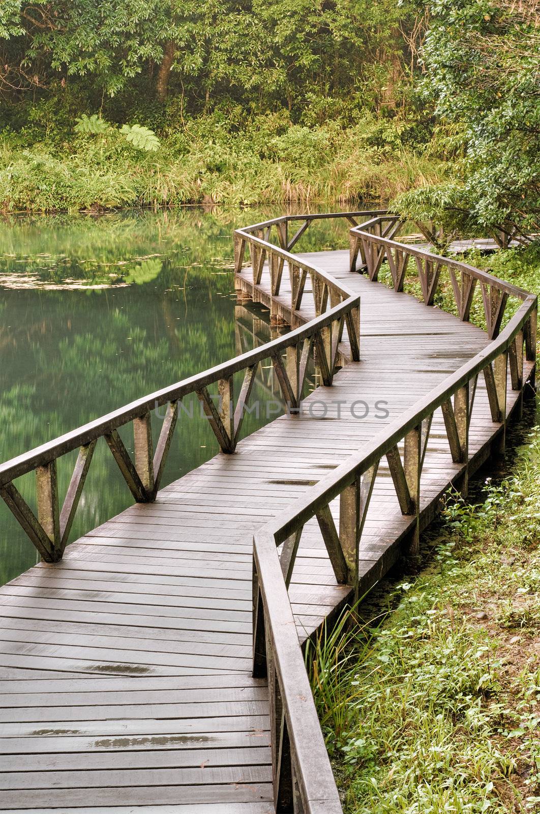 Nature scenery with bridge on lake in forest, outdoor.
