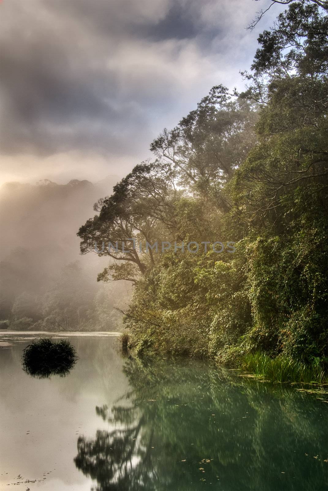 Nature scenery of sunrise in morning with lake and tree.