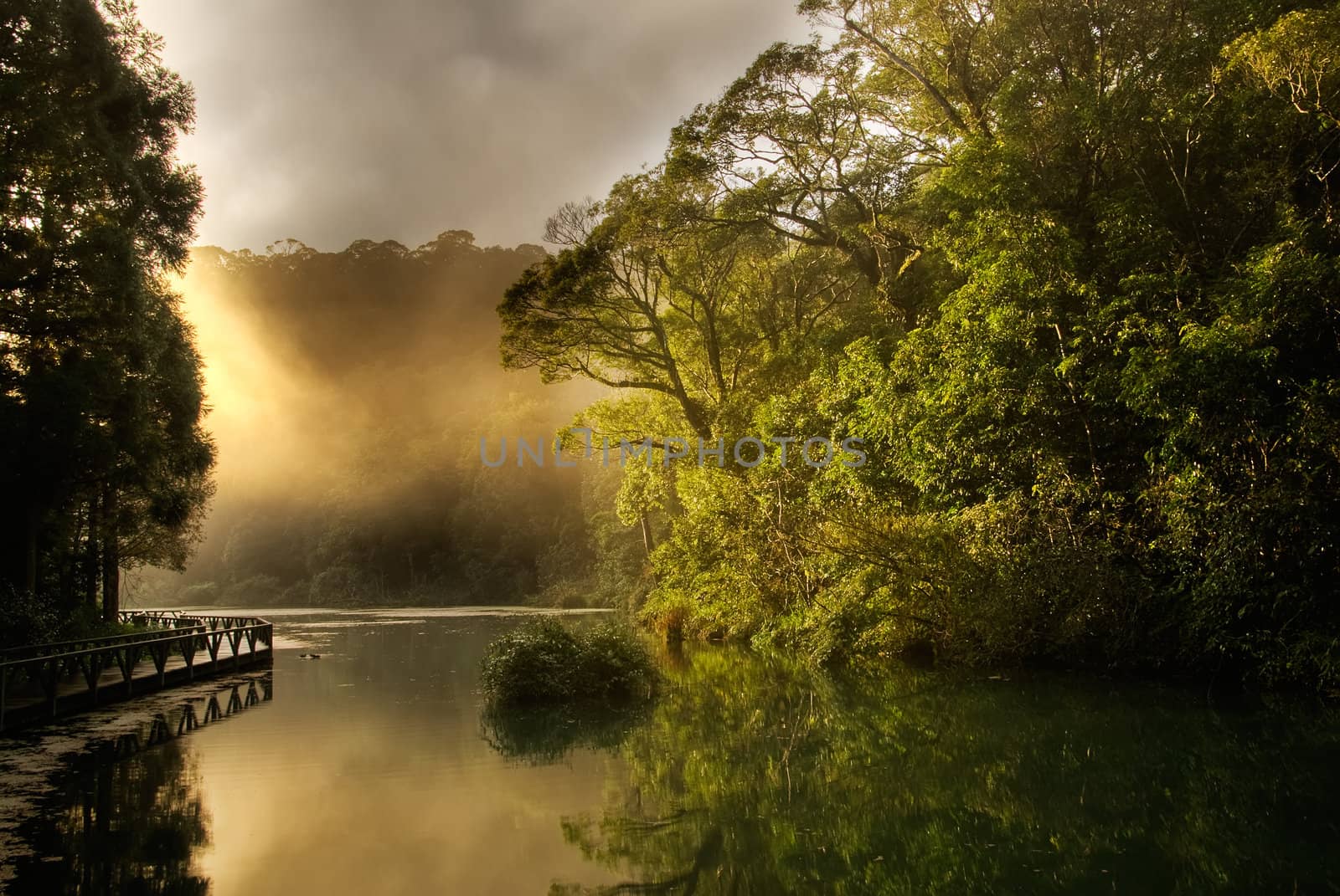 Landscape of morning sunrise with lake and forest.