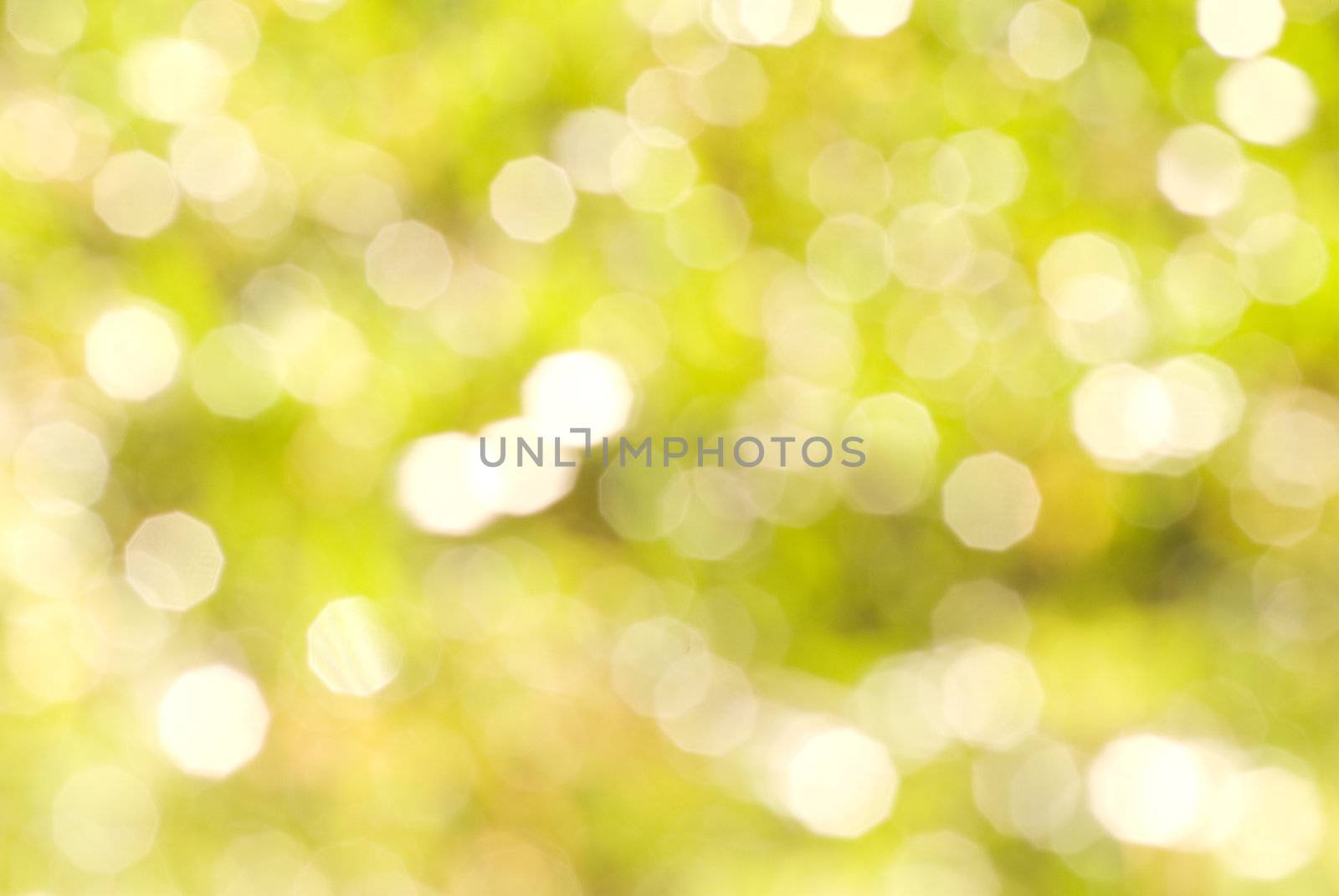 Nature abstract background with defocus light on grassland.