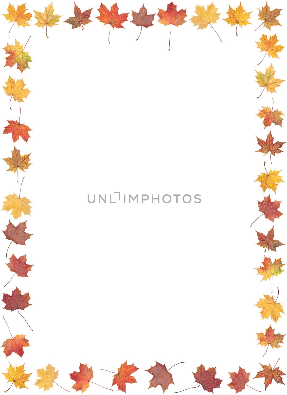 Frame of autumn leafs by gemenacom