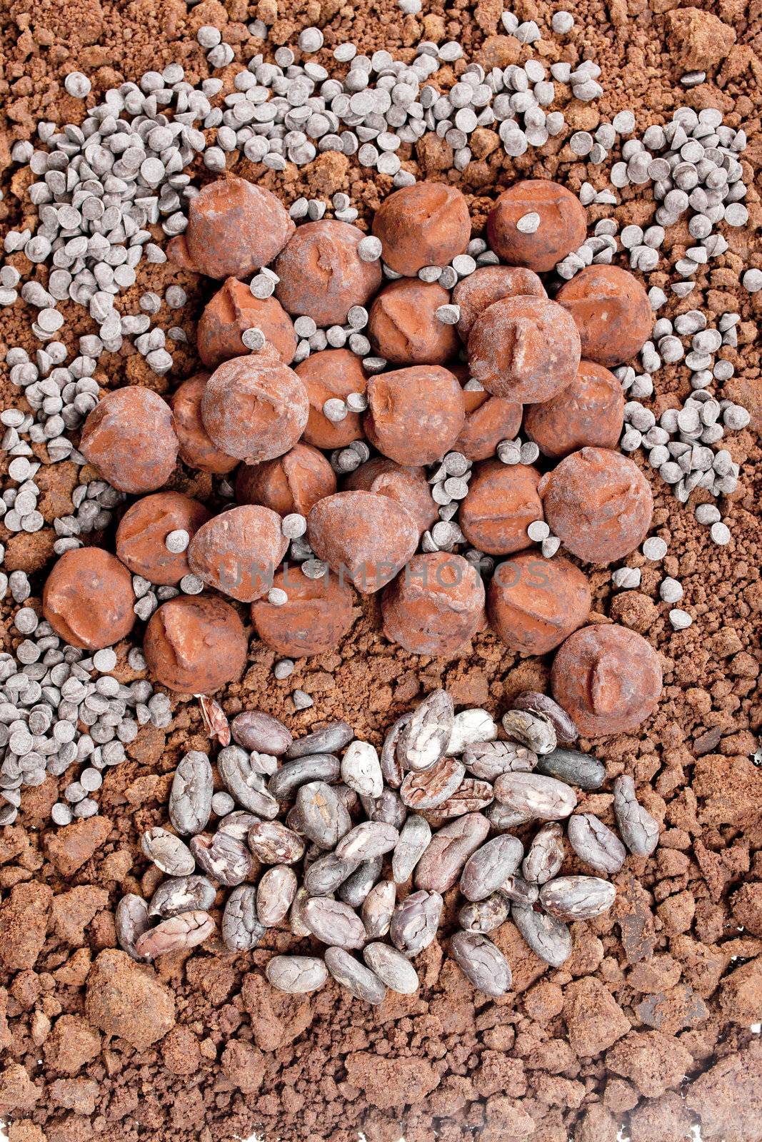 chocolate truffles and cocoa beans in cocoa