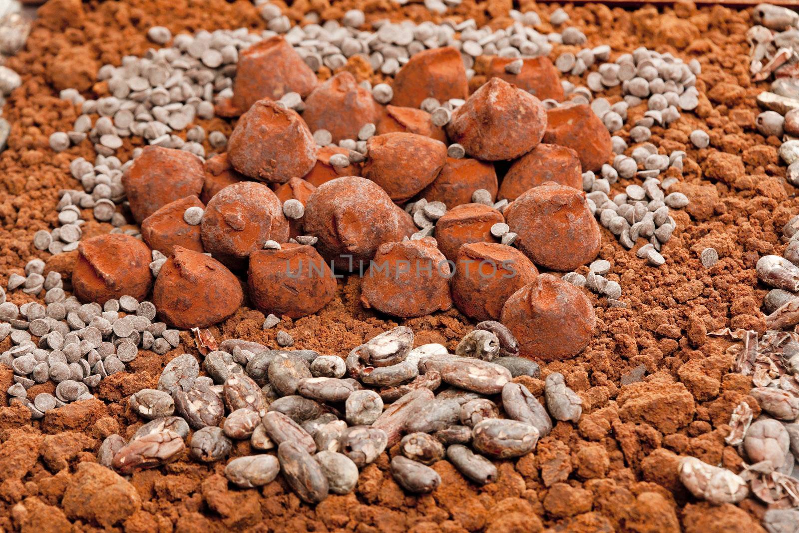 chocolate truffles and cocoa beans in cocoa