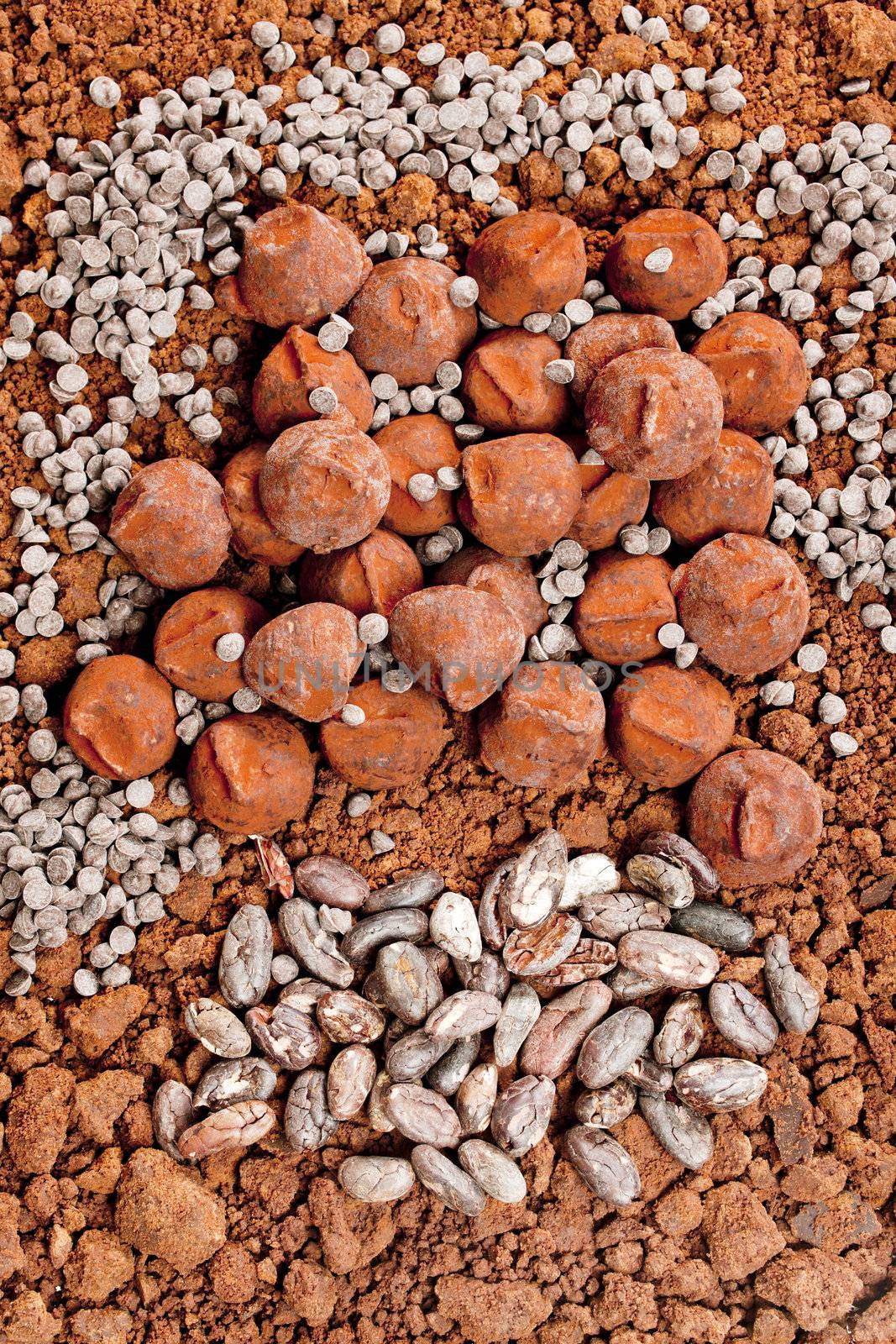 chocolate truffles and cocoa beans in cocoa