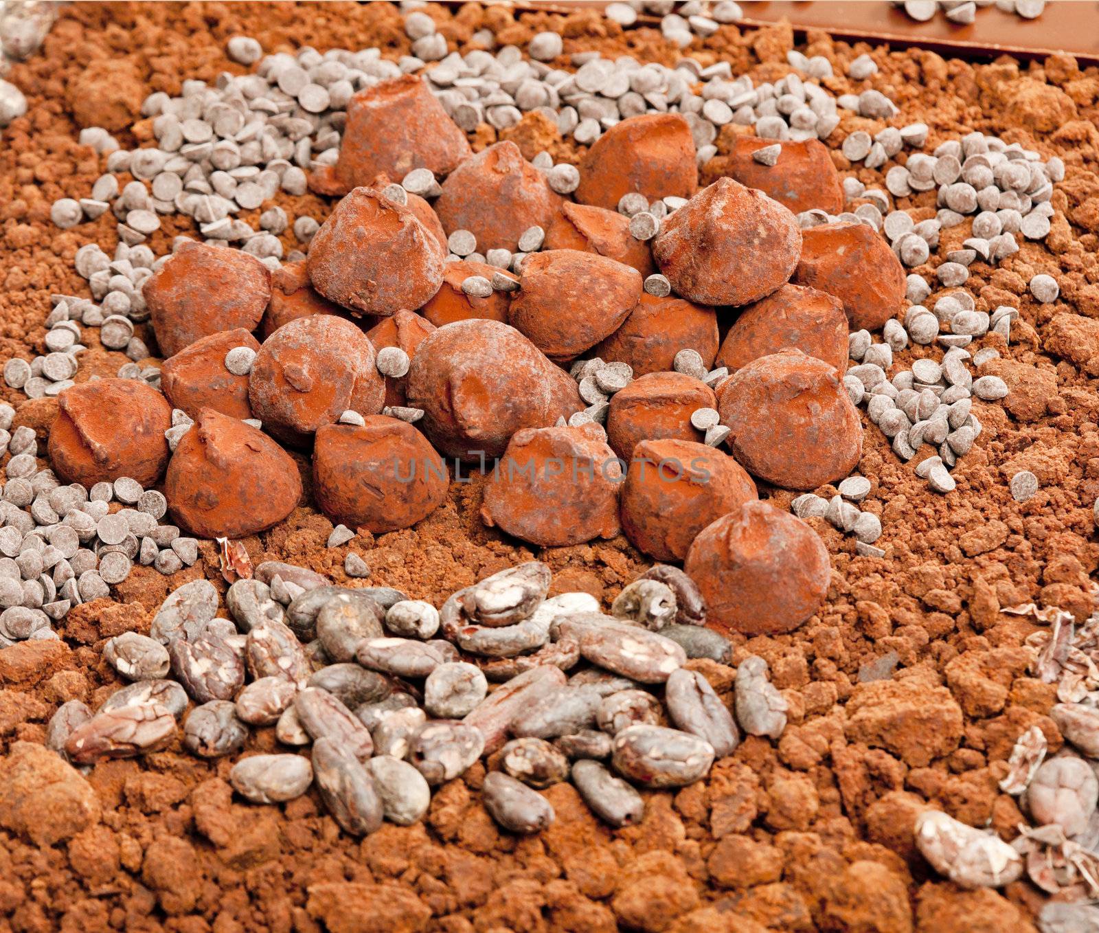 chocolate truffles and cocoa beans in cocoa