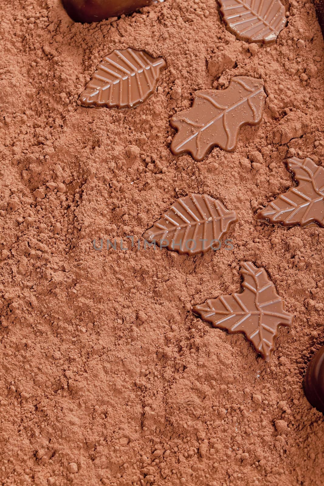 still life of chocolate in cocoa