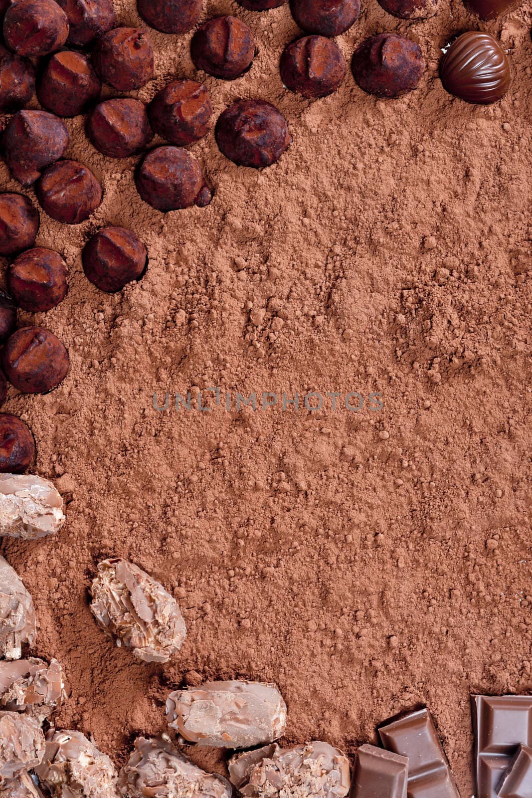 chocolate candies in cocoa