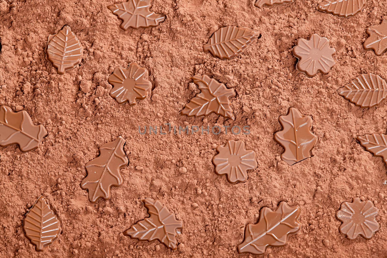 still life of chocolate in cocoa