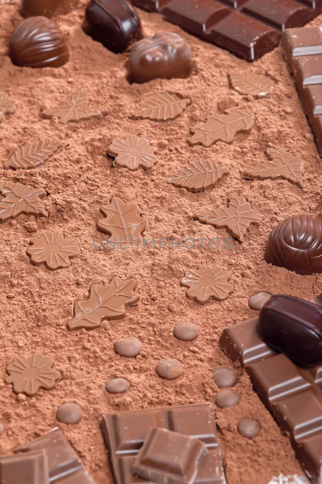 still life of chocolate in cocoa