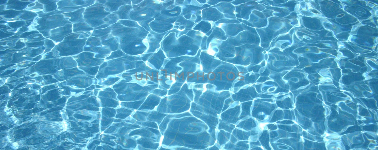 Water in the pool