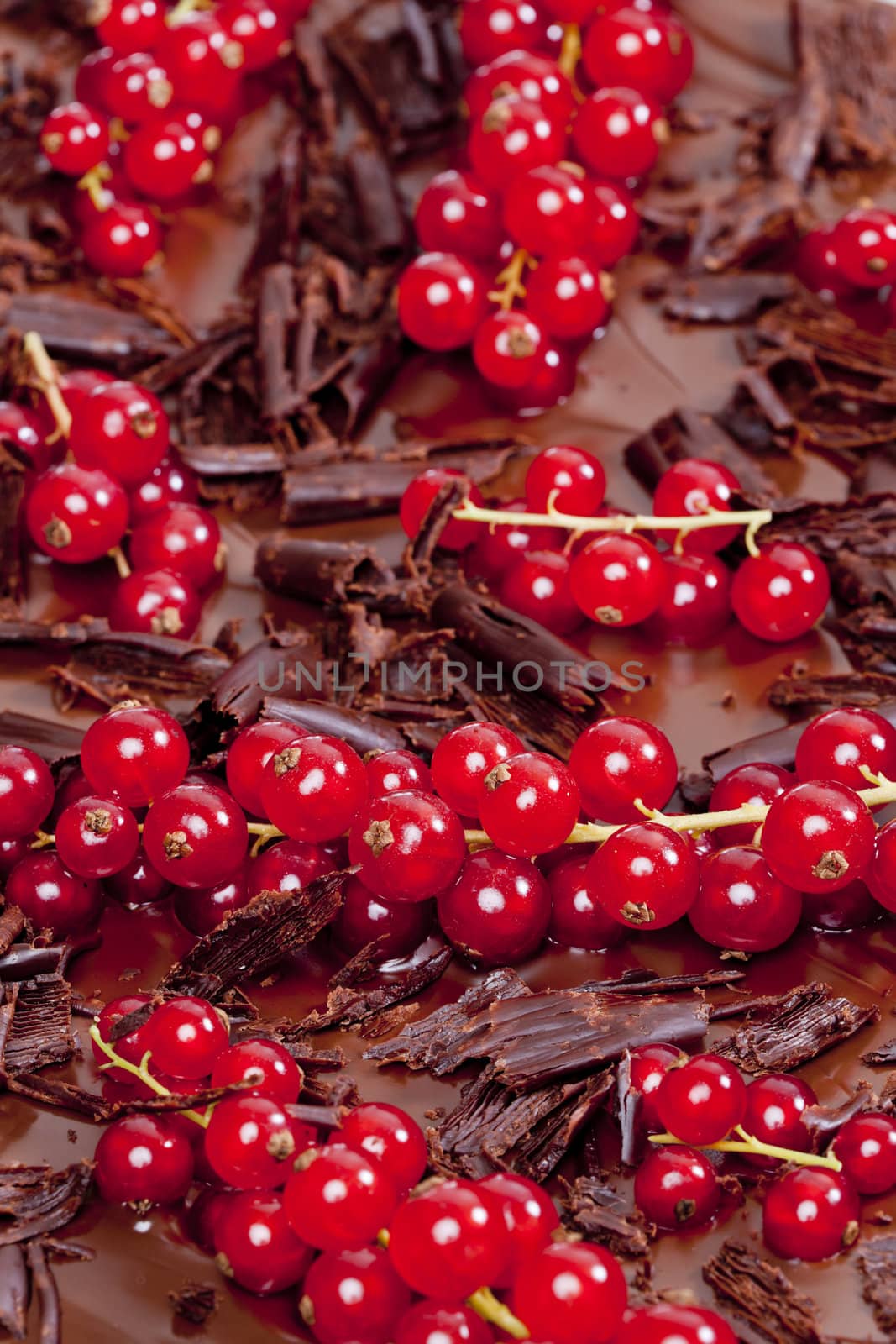 red currant with chocolate