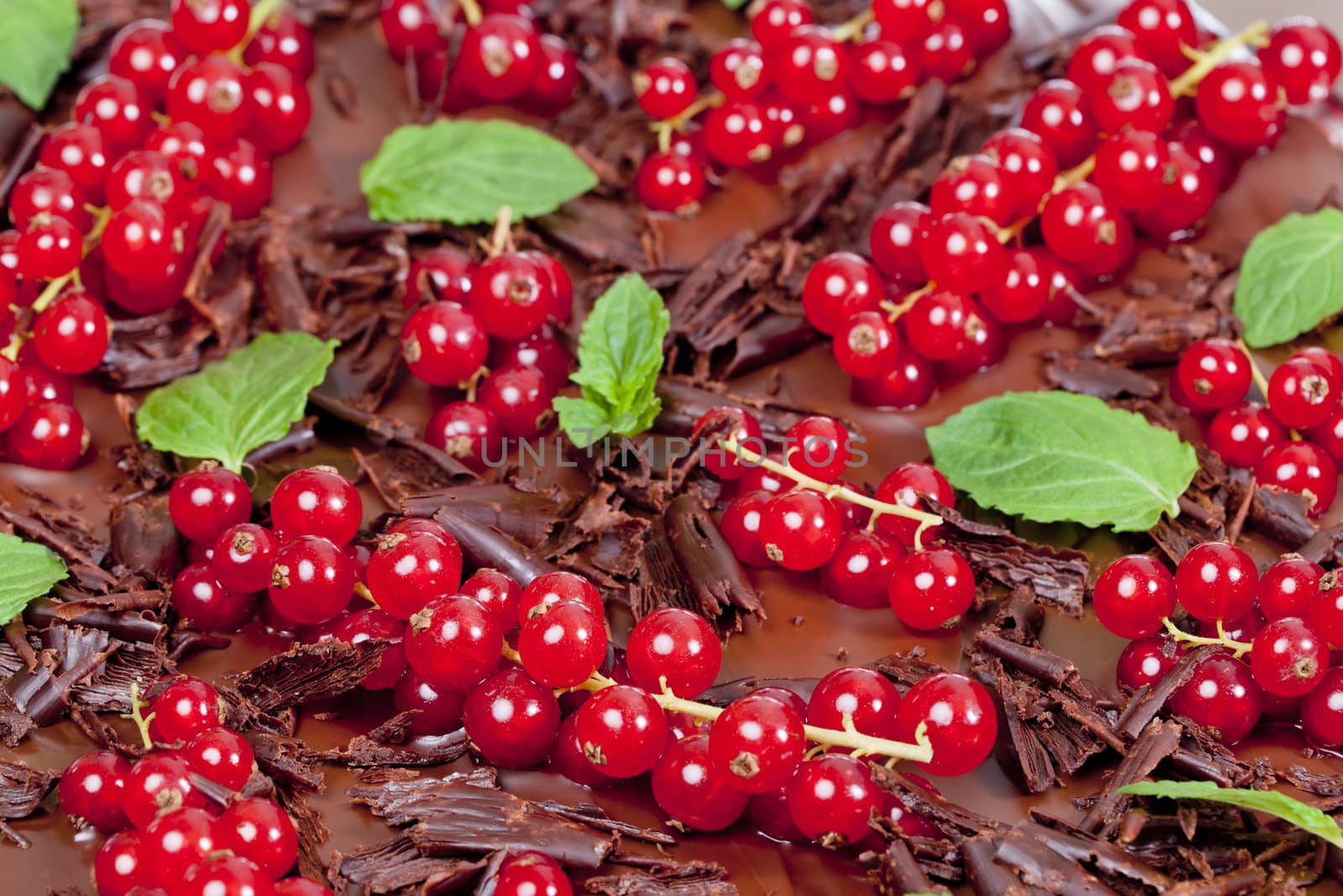red currant and mint with chocolate